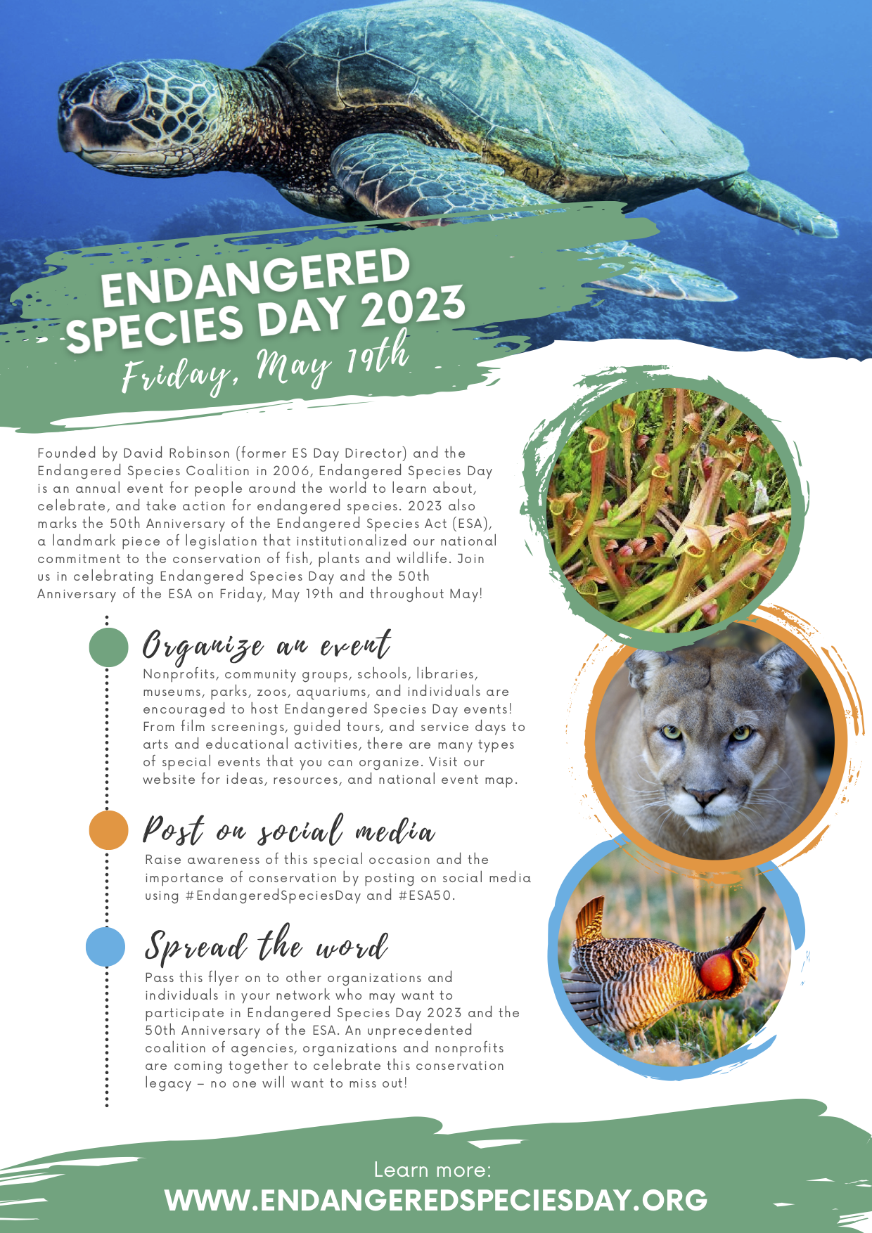 Founded by David Robinson (former ES Day Director) and the Endangered Species Coalition in 2006, Endangered Species Day is an annual event for people around the world to learn about, celebrate, and take action for endangered species. 2023 also marks the 50th Anniversary of the Endangered Species Act (ESA), a landmark piece of legislation that institutionalized our national commitment to the conservation of fish, plants and wildlife. Join us in celebrating Endangered Species Day and the 50th Anniversary of the ESA on Friday, May 19th and throughout May!
Organize an event
Nonprofits, community groups, schools, libraries, museums, parks, zoos, aquariums, and individuals are encouraged to host Endangered Species Day events! From film screenings, guided tours, and service days to arts and educational activities, there are many types of special events that you can organize. Visit our website for ideas, resources, and national event map.
Post on social media
Raise awareness of this special occasion and the importance of conservation by posting on social media using #EndangeredSpeciesDay and #ESA50.
Spread the word
Pass this flyer on to other organizations and individuals in your network who may want to participate in Endangered Species Day 2023 and the 50th Anniversary of the ESA. An unprecedented coalition of agencies, organizations and nonprofits are coming together to celebrate this conservation legacy – no one will want to miss out!
Learn more:
WWW.ENDANGEREDSPECIESDAY.ORG