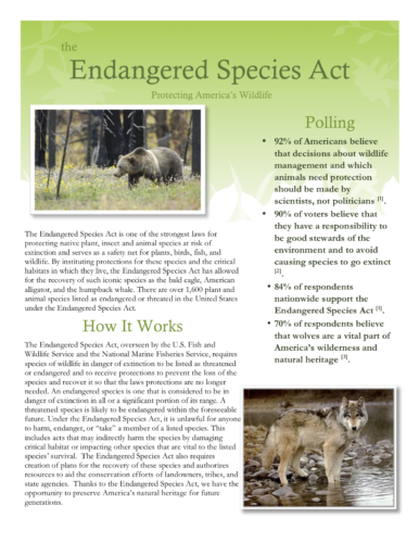 Endangered Species Act Facts The Endangered Species Act At 50