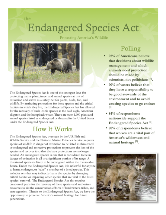 research work on endangered species