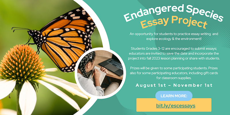 endangered species long essay