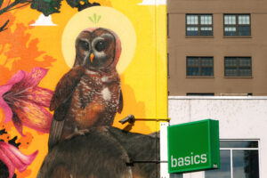 a mural depicting a spotted owl