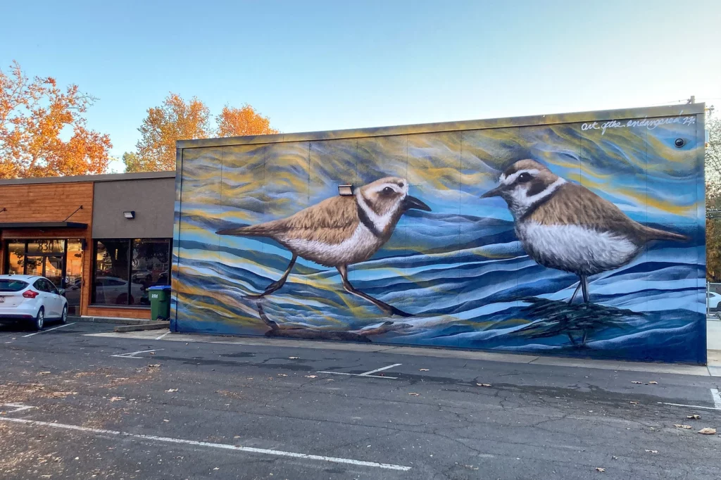 Mural of two Western Snowy Plovers, an endangered species.